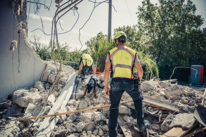 Choosing The Right Respirator and PPE For Hurricane Disaster Clean Up